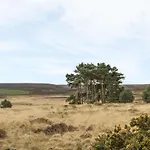 The Cow Byre * Saltburn-by-the-Sea